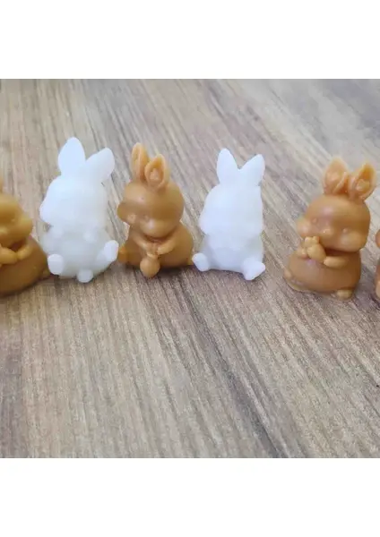 Sabrina Organizasyon 25 adet Asetat Kutu Kokulu Mum Tavşan Figürü